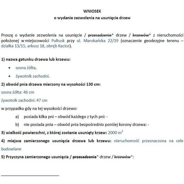 Czy można wyciąć drzewa na swojej posesji bez pozwolenia? Sprawdź, co warto wiedzieć!