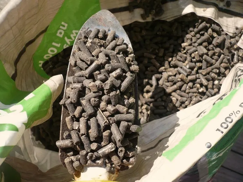Jak skutecznie odkwasić ziemię pod trawnik, aby cieszyć się zdrową zielenią?