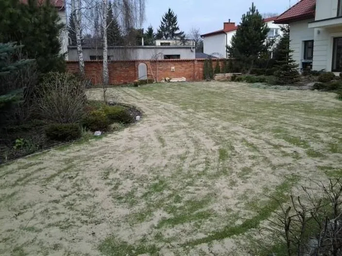 Jak skutecznie piaskować trawnik, aby cieszyć się zdrową zielenią?