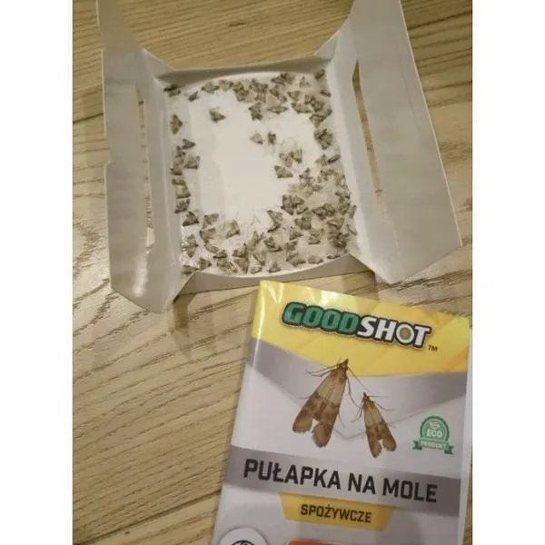 Skuteczne metody, jak zwalczać mole w kuchni i cieszyć się czystością